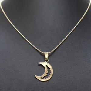 Pendentif NES Luna avec chaînette